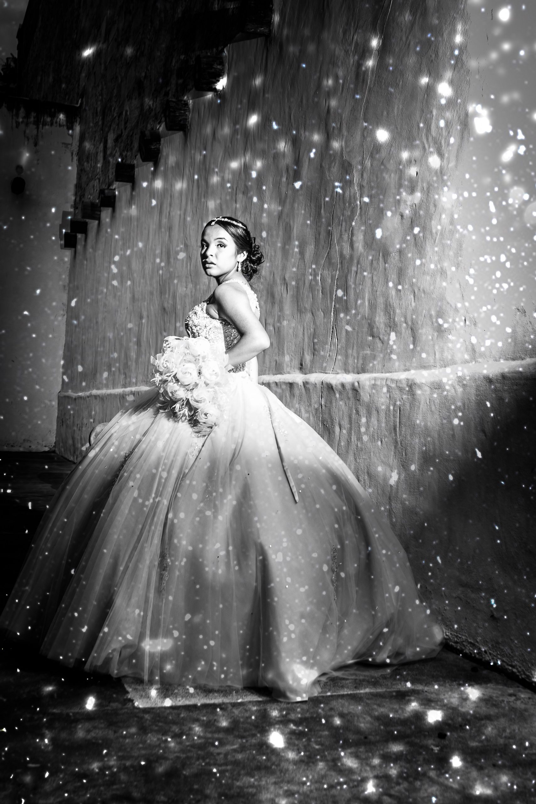 Ice Princess